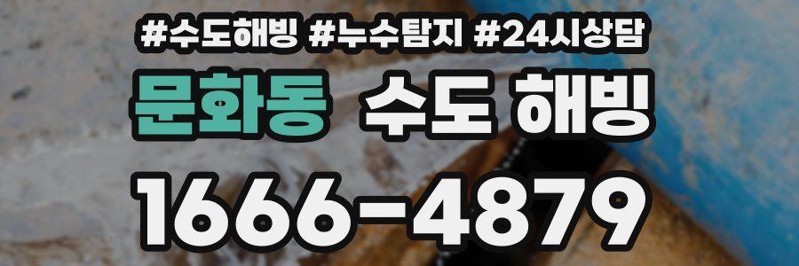 문화동 수도 해빙