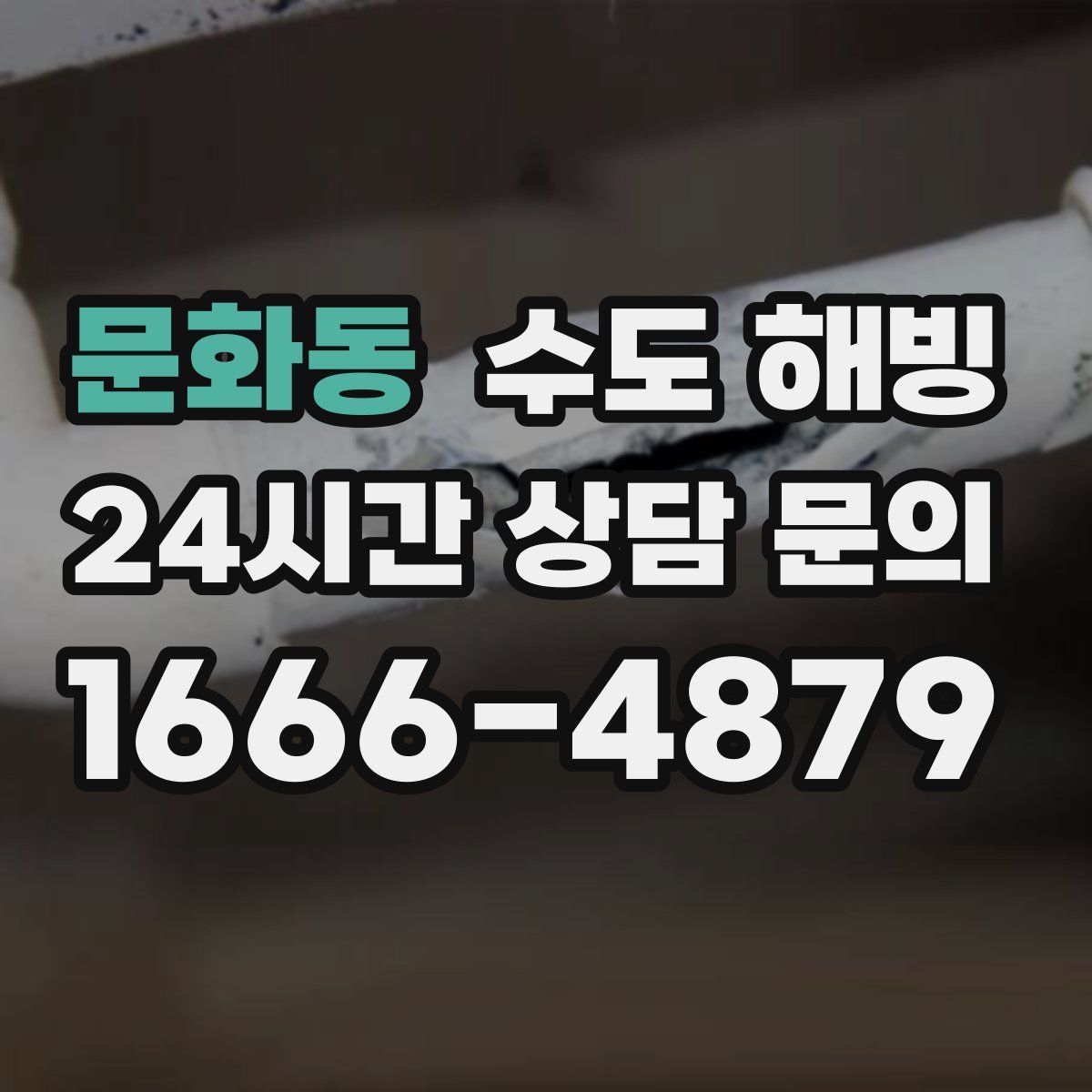 문화동 수도 해빙