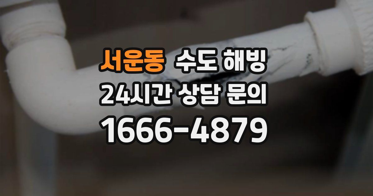 서운동 수도 해빙