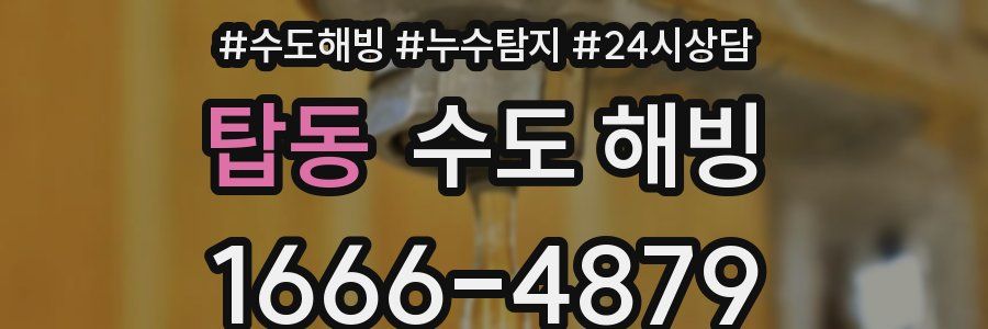 탑동 수도 해빙