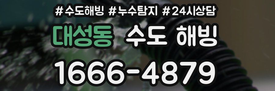 대성동 수도 해빙