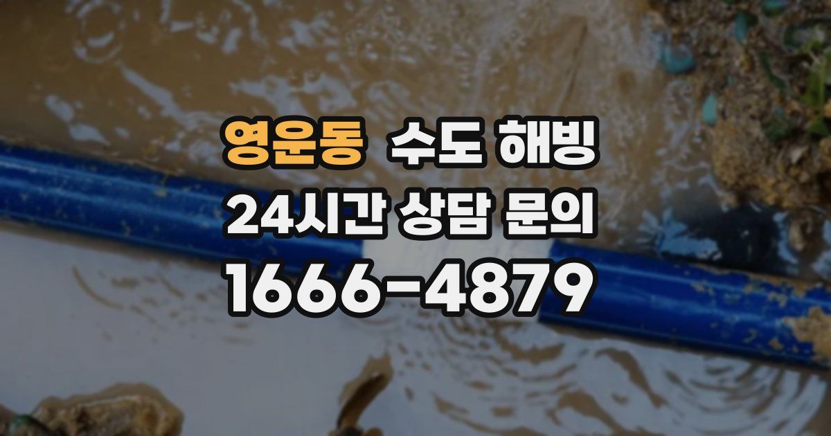 영운동 수도 해빙