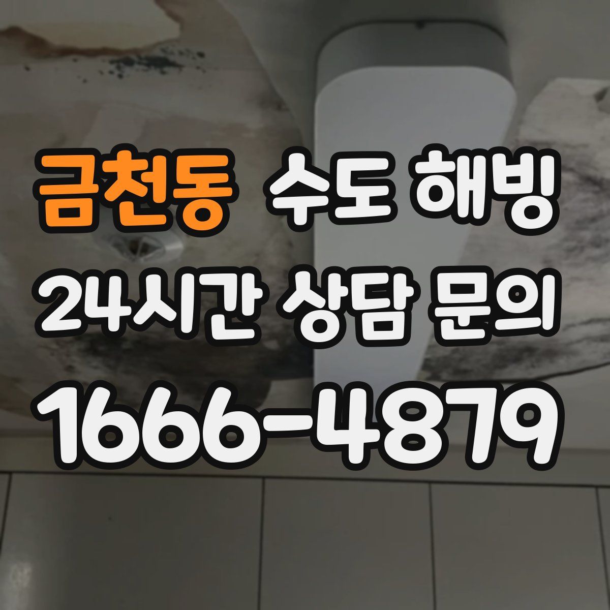 금천동 수도 해빙