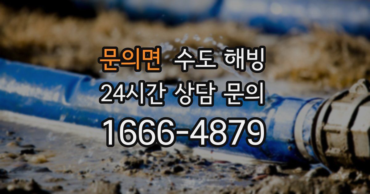 문의면 수도 해빙