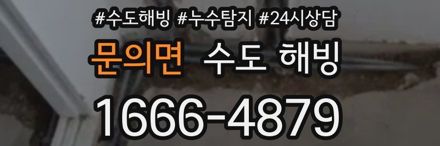 문의면 수도 해빙