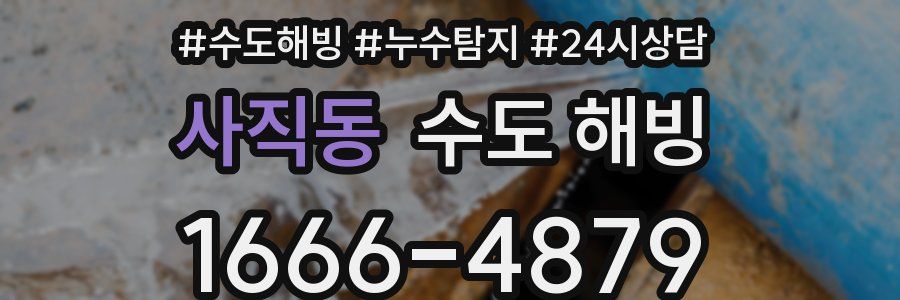 사직동 수도 해빙