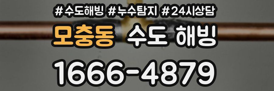 모충동 수도 해빙