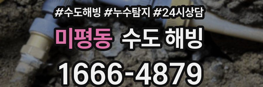 미평동 수도 해빙