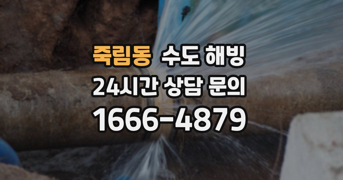 죽림동 수도 해빙