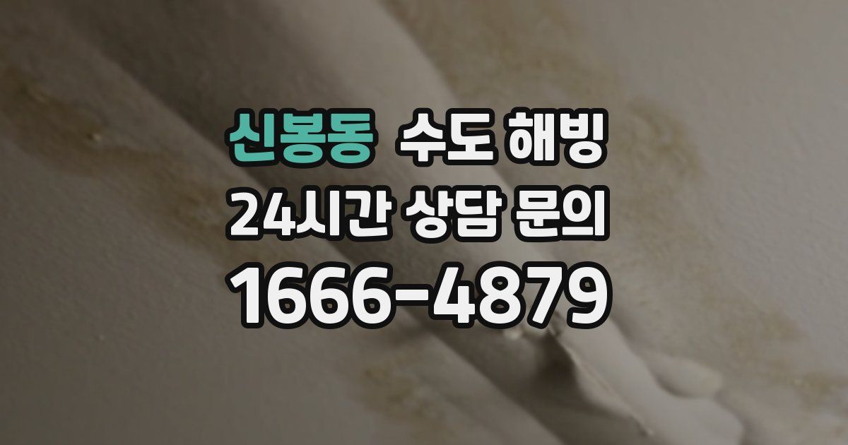 신봉동 수도 해빙