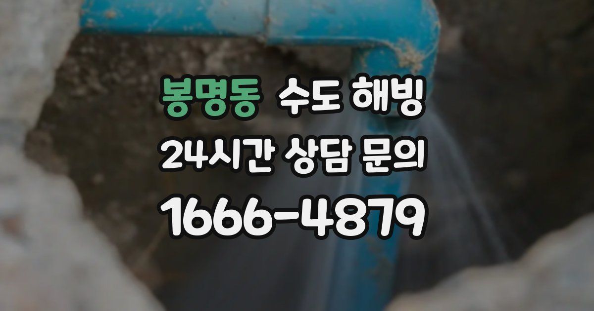 봉명동 수도 해빙