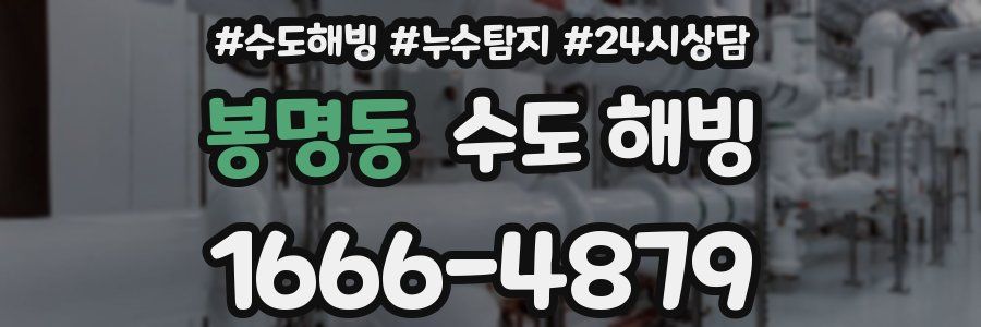 봉명동 수도 해빙