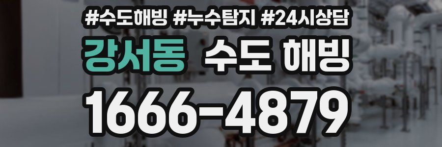 강서동 수도 해빙