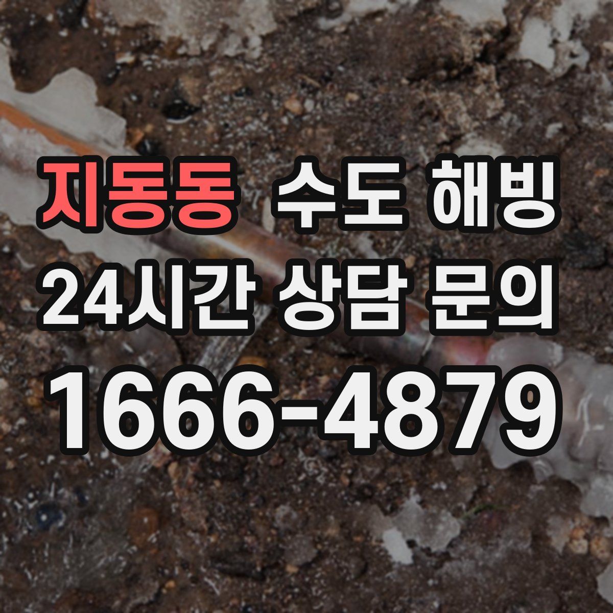 지동동 수도 해빙