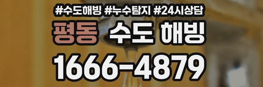 평동 수도 해빙