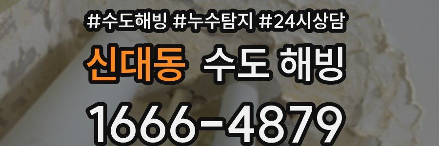 신대동 수도 해빙
