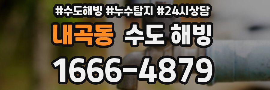 내곡동 수도 해빙