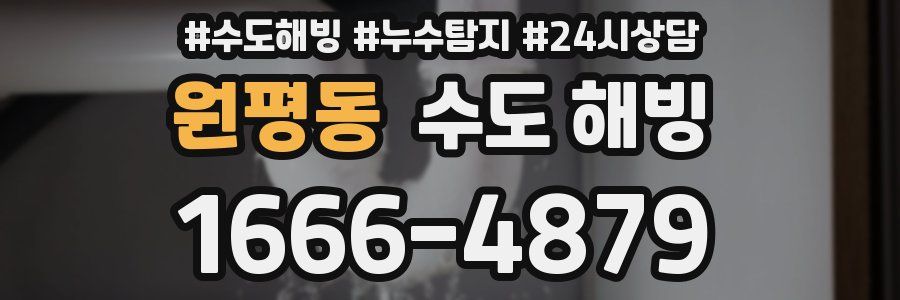 원평동 수도 해빙