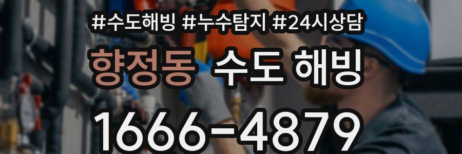 향정동 수도 해빙