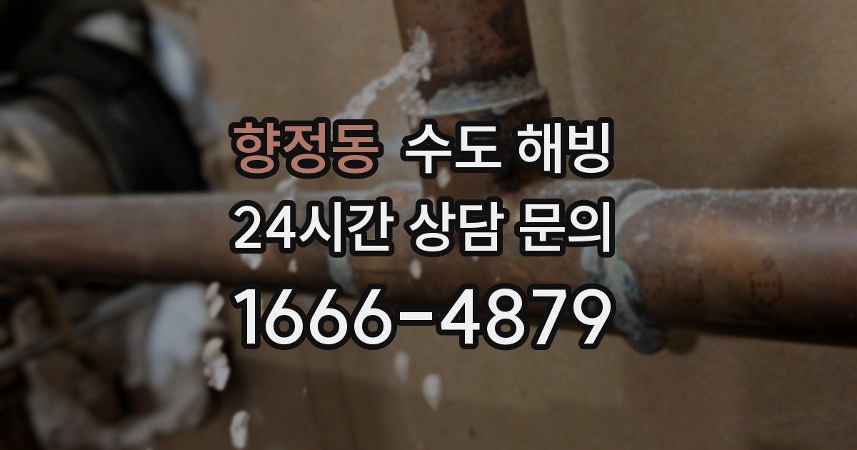 향정동 수도 해빙