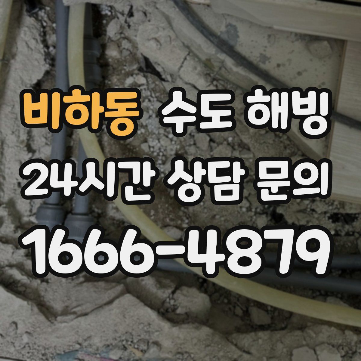 비하동 수도 해빙