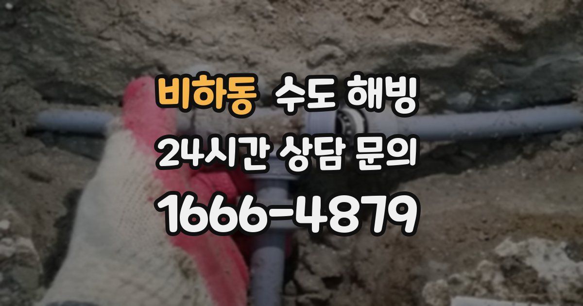 비하동 수도 해빙