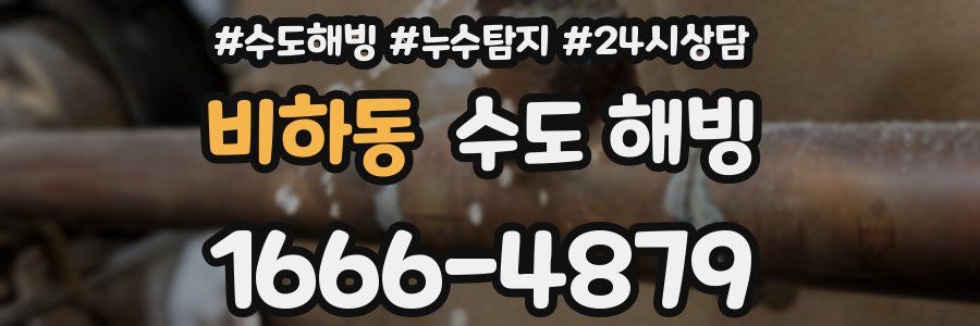 비하동 수도 해빙