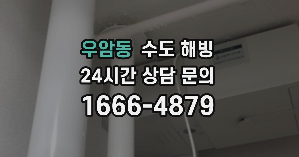 우암동 수도 해빙