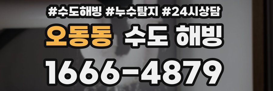 오동동 수도 해빙