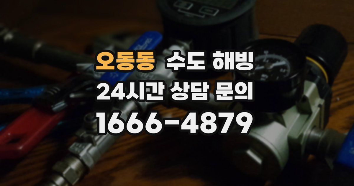 오동동 수도 해빙