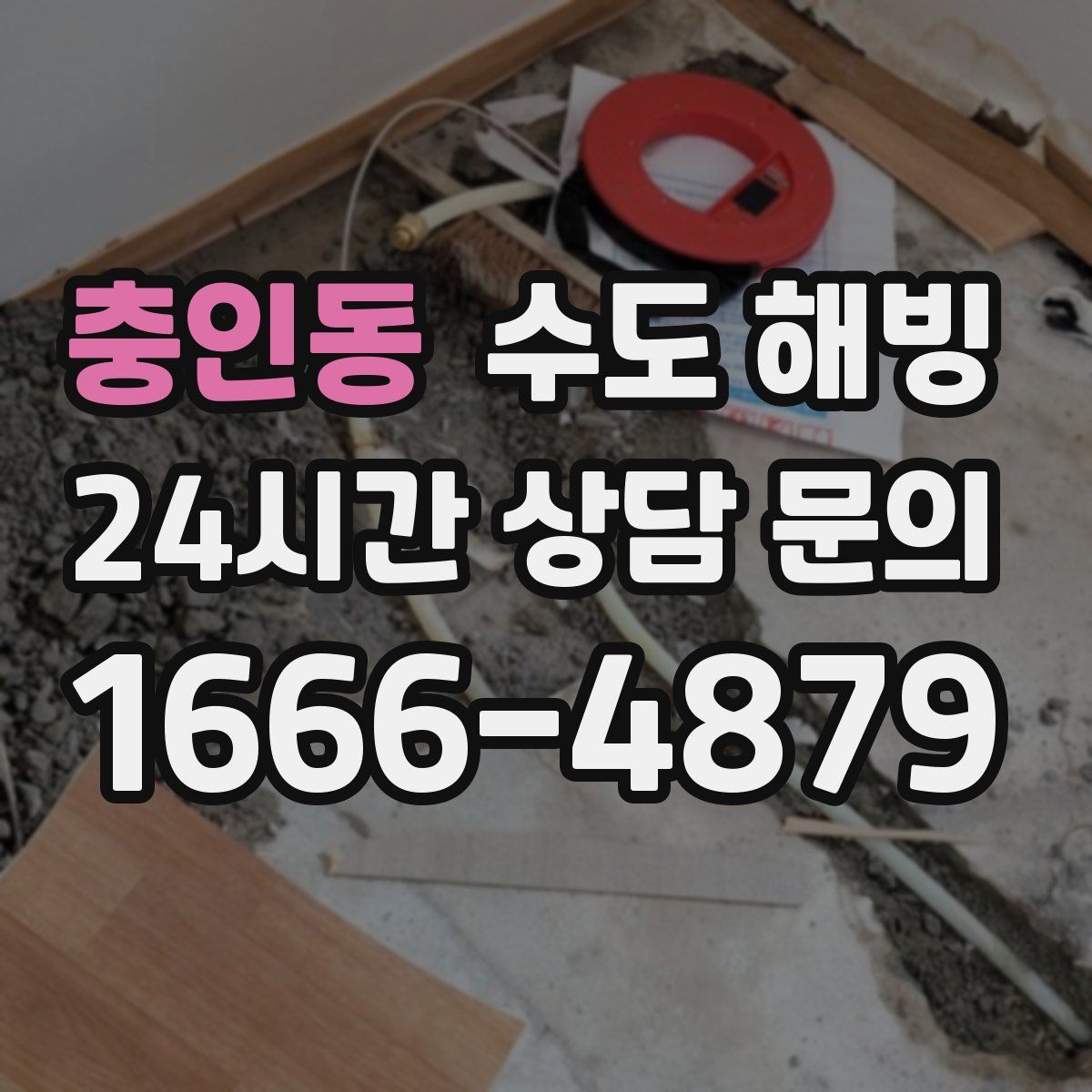 충인동 수도 해빙