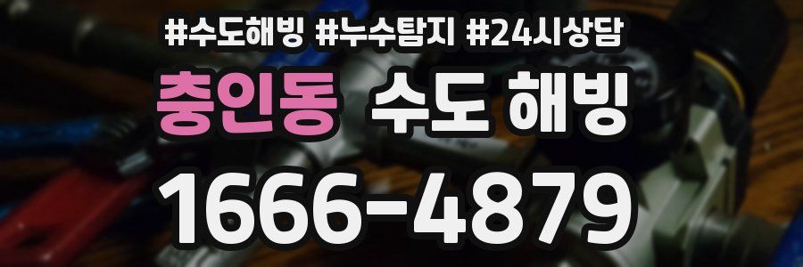 충인동 수도 해빙