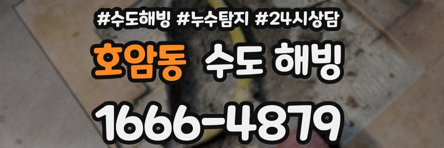 호암동 수도 해빙