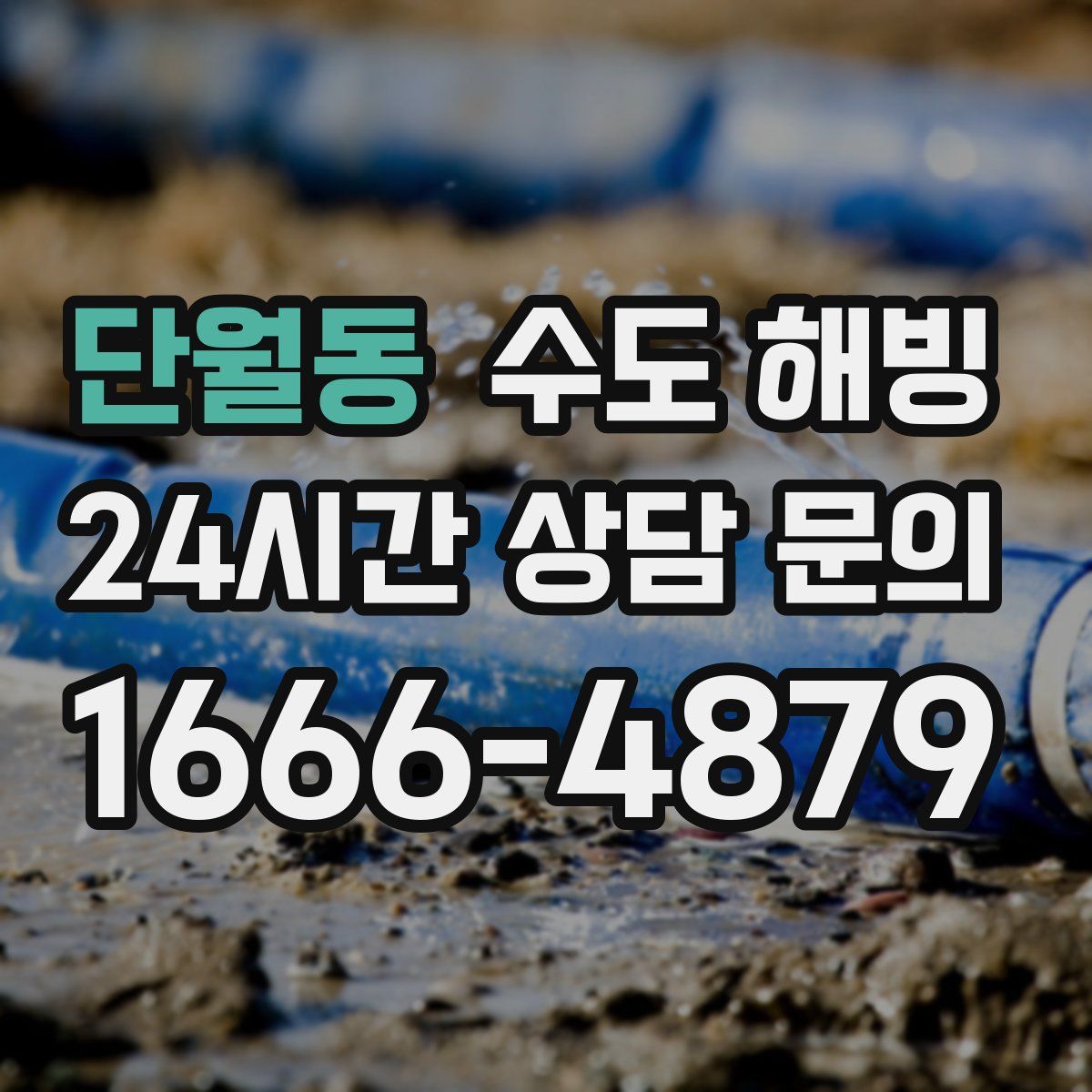 단월동 수도 해빙