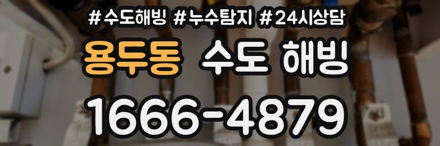 용두동 수도 해빙