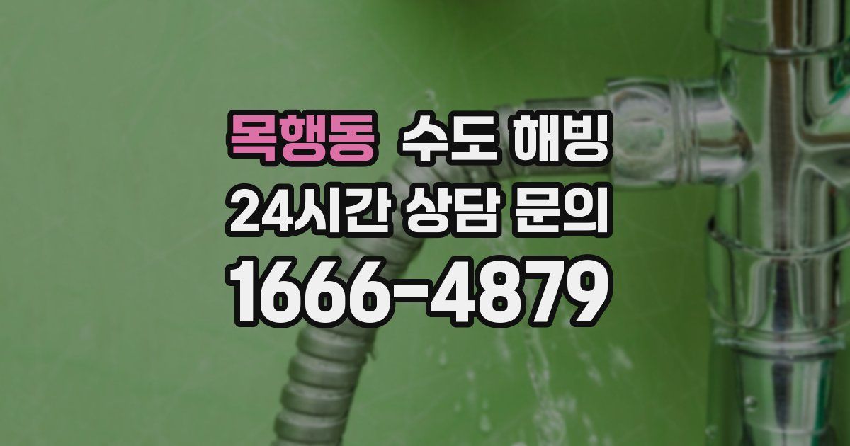 목행동 수도 해빙