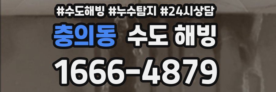 충의동 수도 해빙