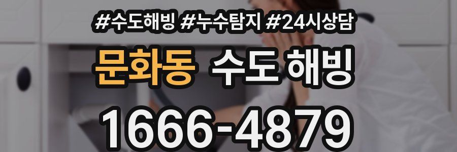 문화동 수도 해빙