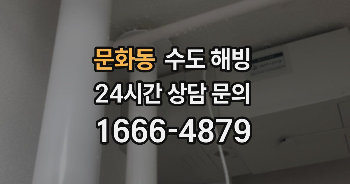 문화동 수도 해빙