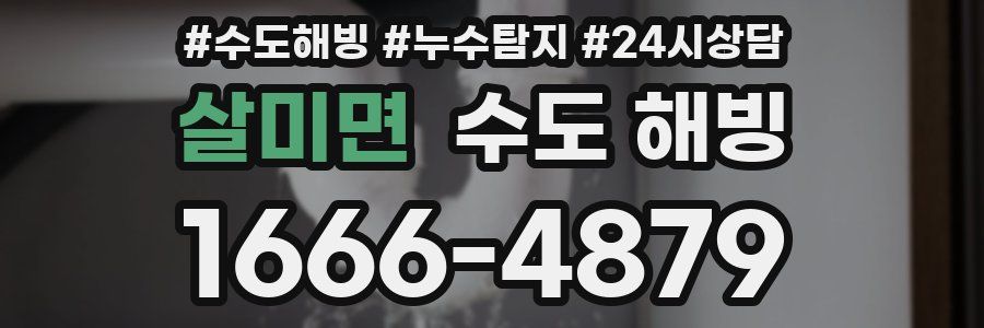 살미면 수도 해빙