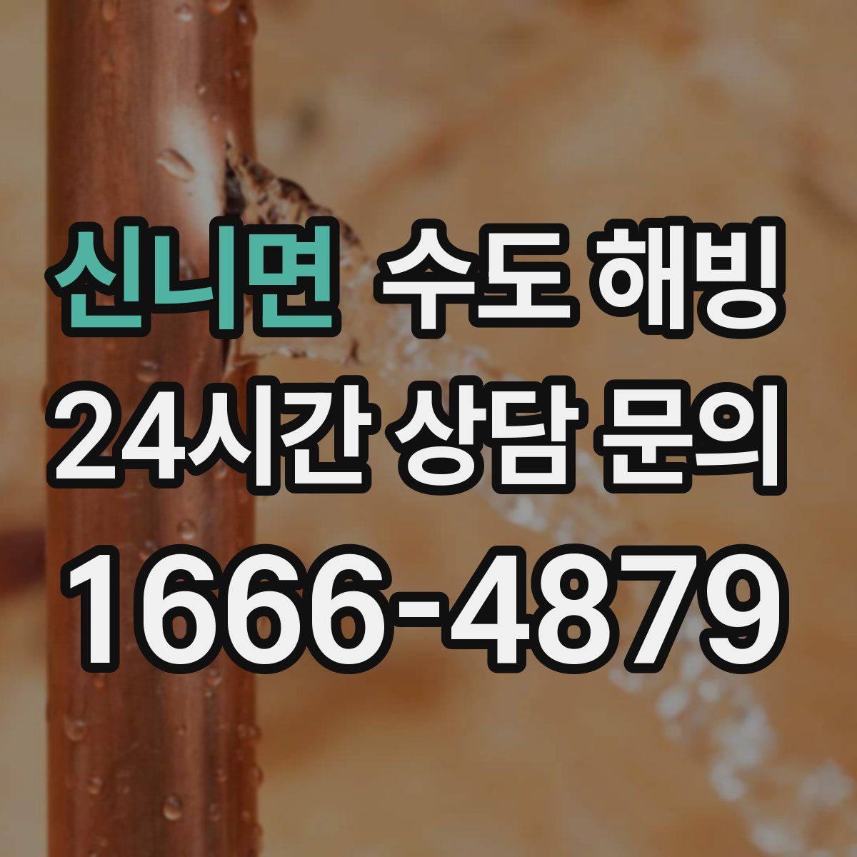 신니면 수도 해빙