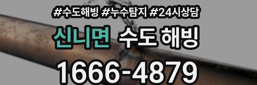 신니면 수도 해빙