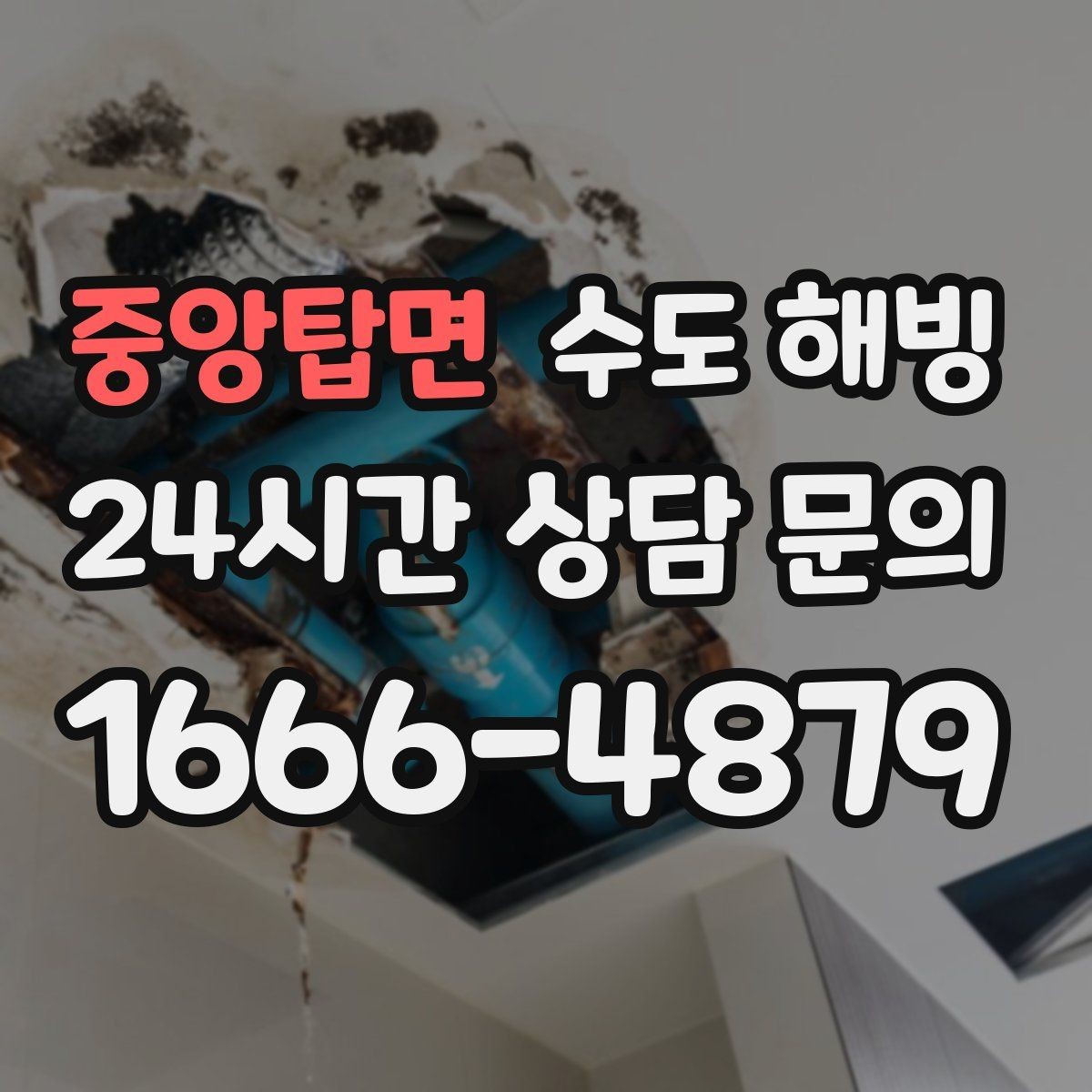 중앙탑면 수도 해빙 주방만 물이 안 나오고 욕실은 정상이라면