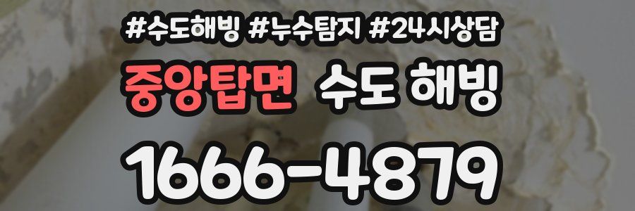 중앙탑면 수도 해빙