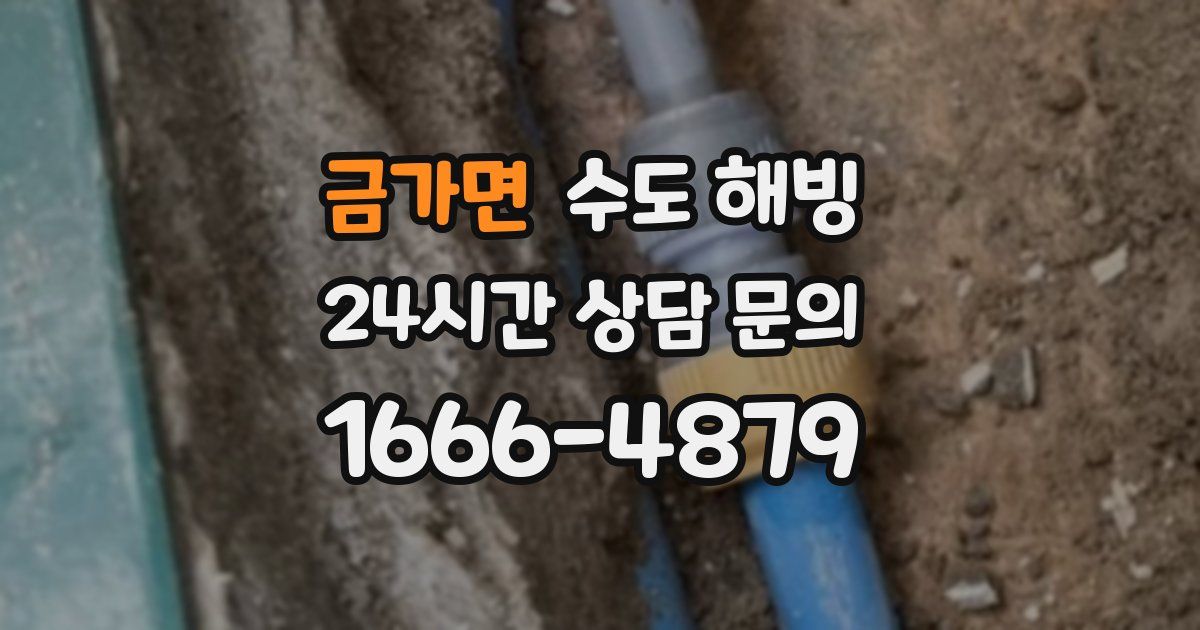 금가면 수도 해빙