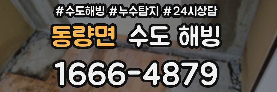 동량면 수도 해빙