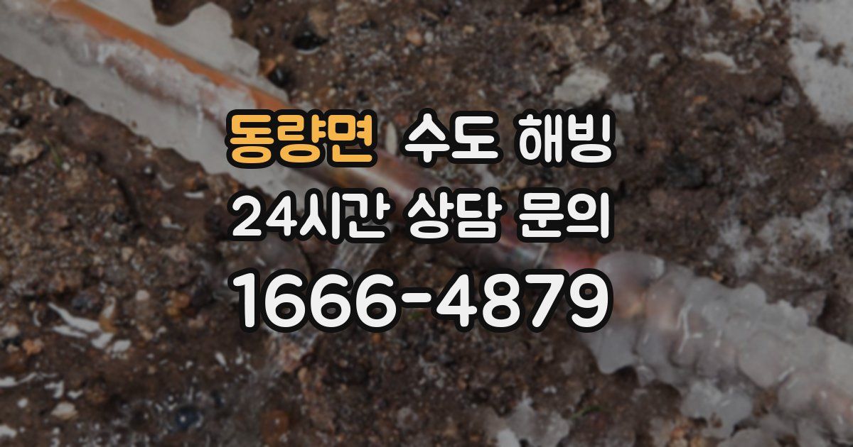 동량면 수도 해빙