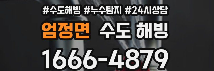 엄정면 수도 해빙