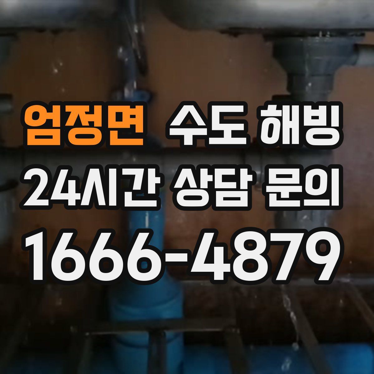 엄정면 수도 해빙