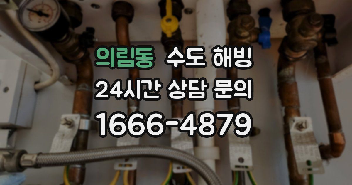 의림동 수도 해빙